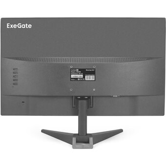  Монитор ExeGate EB2400 (EX294424RUS) 