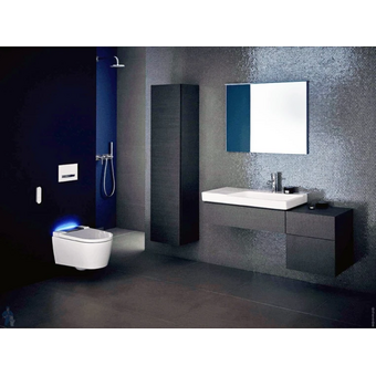  Шкаф-пенал Geberit Xeno2 40 807002000 серый дуб 