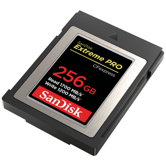  Карта памяти SanDisk Extreme Pro 256GB SDCFE-256G-GN4NN 