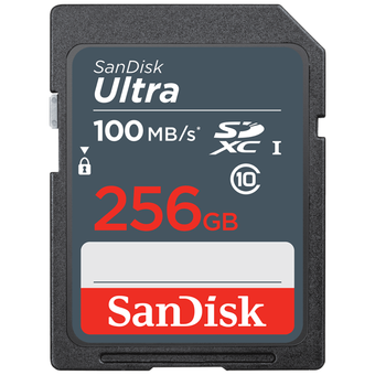  Карта памяти SanDisk 256GB SDSDUNR-256G-GN3IN 
