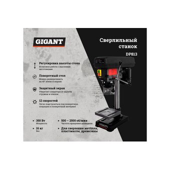  Сверлильный станок Gigant DP813 