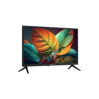  Телевизор Topdevice TDTV24BN02HBK черный 