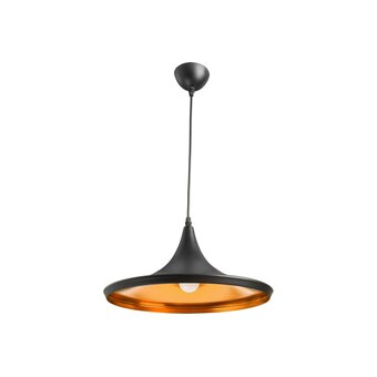  Светильник подвесной Arte Lamp A3406SP-1BK 