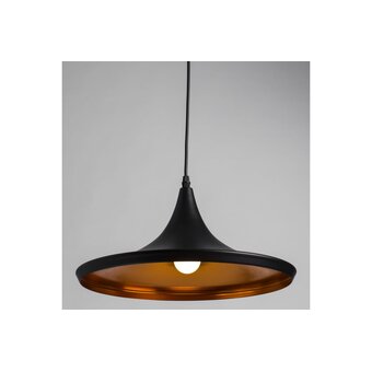  Светильник подвесной Arte Lamp A3406SP-1BK 