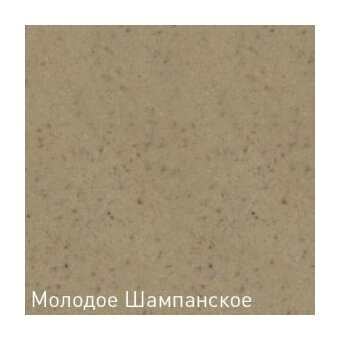  Кухонная мойка Zigmund & Shtain ECKIG 900 молодое шампанское 