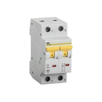  Выключатель автоматический IEK ВА47-60M (MVA31-2-006-C) 2Р 6А 6кА С 
