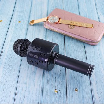  УЦ Микрофон караоке Wster WS-858 (bt/aux/usb/tf/fm) черный (ПУ, поцарапан корпус) 
