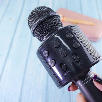  УЦ Микрофон караоке Wster WS-858 (bt/aux/usb/tf/fm) черный (ПУ, поцарапан корпус) 