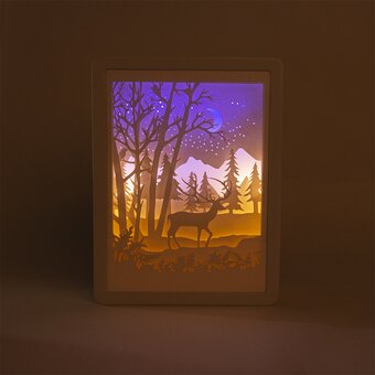  Светильник FUNRAY Night Forest, теплый белый+голубой, 12LED, 4,5В 