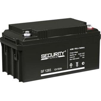  Аккумуляторная батарея Security Force SF 1265 