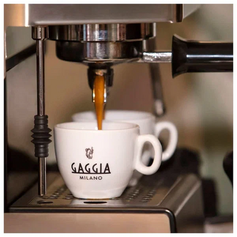  Кофеварка эспрессо GAGGIA Classic Evo RI9481/17 Green 