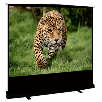  Экран SAKURA SCPSF-177x100 Floor Stand Screen 16:9 портативный напольный рулонный черный 80' 