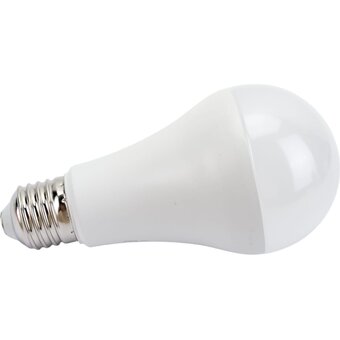  Лампа Generica LL-A65-25-230-40-E27-G (LED A65 груша 25Вт 230В 4000К E27) 