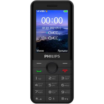  Мобильный телефон Philips Xenium E172 черный 