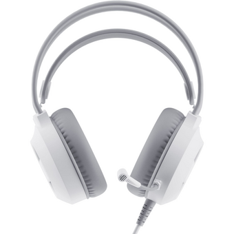  Наушники с микрофоном OKLICK HS-L300G White 1796952 белый 2.2м мониторные USB оголовье 