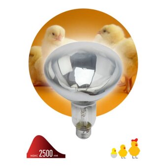  Лампа инфракрасная ЭРА Fito ИКЗ 220-250 R127 (Б0042991) E27 