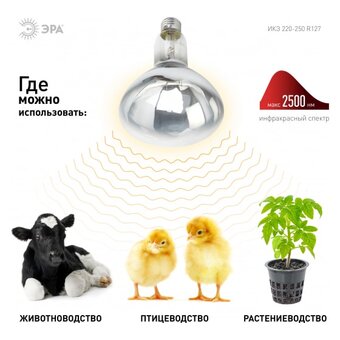  Лампа инфракрасная ЭРА Fito ИКЗ 220-250 R127 (Б0042991) E27 
