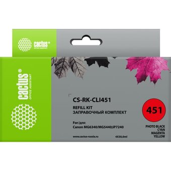  Заправочный набор Cactus CS-RK-CLI451 многоцветный 4x120мл для Canon MG6340/5440/IP7240 