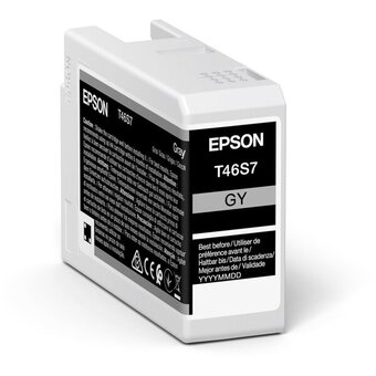  Картридж Epson T46S7 C13T46S700 серый для SC-P700 