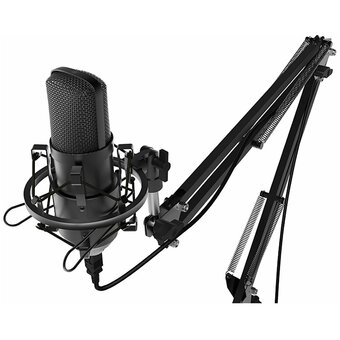  Микрофон RITMIX RDM-169 Black 