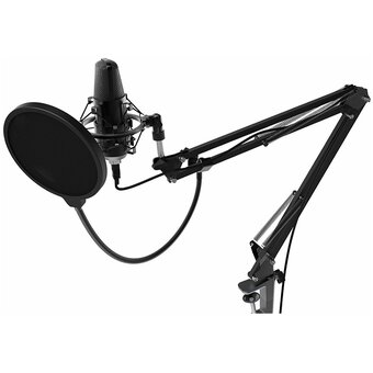  Микрофон RITMIX RDM-169 Black 