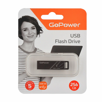  USB-флешка GoPower Titan (00-00027356) 256GB USB3.0 металл черный графит 