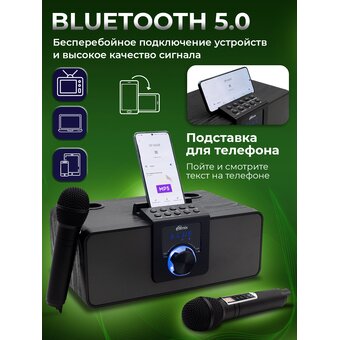  Акустика портативная RITMIX SP-660B черный 