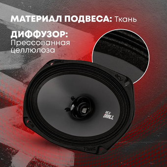  Акустика ACV DR69 Drall эстрадная 6х9 широкополосная 