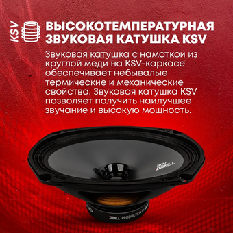  Акустика ACV DR69 Drall эстрадная 6х9 широкополосная 