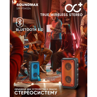  Акустика SOUNDMAX SM-PS4524 черный 