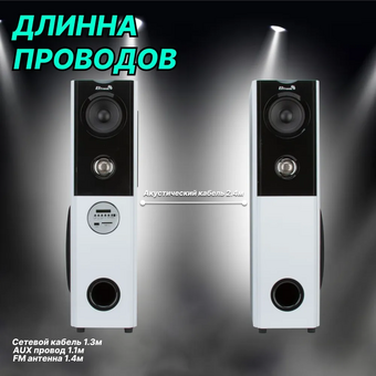  Портативная акустика ELTRONIC 20-82 Home Sound белый 