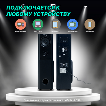  Колонка ELTRONIC 20-82 Home Sound черный 08 