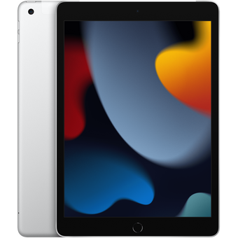  Планшет Apple iPad 10 WiFi 256Gb Silver 