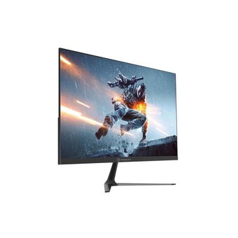  Монитор Raskat I24F10DA Black 