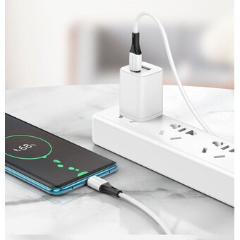  Дата-кабель BOROFONE BX79 silicone charging 60W Type-C to Type-C (белый) 