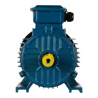  Электродвигатель 5АИ 100 L2 5.5/3000 IM 1081 (01.01.213567) 