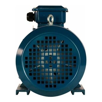  Электродвигатель 5АИ 100 L2 5.5/3000 IM 1081 (01.01.213567) 
