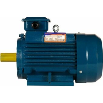  Электродвигатель 5АИ 100 L2 5.5/3000 IM 1081 (01.01.213567) 