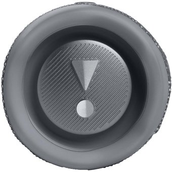  Портативная акустика JBL FLIP 6 (JBLFLIP6GREY) серый 