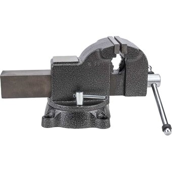  Тиски слесарные Gigant Professional GP-BV-100 