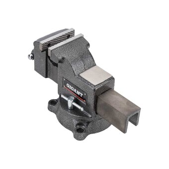  Тиски слесарные Gigant Professional GP-BV-100 
