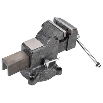  Тиски слесарные Gigant Professional GP-BV-100 