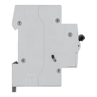  Автоматический выключатель Legrand RX3 Leg1199883 (419701) 