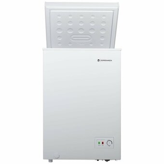  Морозильный ларь ESPERANZA Elite CFH 110 FW 