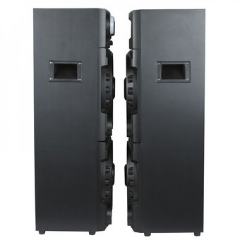  Портативная акустика ELTRONIC 20-21 