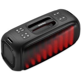  Акустическая система SMARTBUY Evolution 2 SBS-5560 черный 