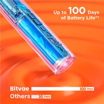  Электрическая зубная щетка Bitvae S2 Toothbrush (S2 Black) черная 