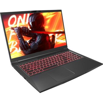  Ноутбук Maibenben X725 (X725FSFNLBRE0) 17.3"(1920x1080 (матовый) IPS)/Intel Core i5 12450H(2Ghz)/16384Mb/512PCISSDGb/nVidia GeForce RTX4060(8192Mb) 