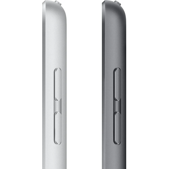  Планшет Apple iPad 2021 A2604 MK4E3ZP/A A13 Bionic 6С ROM256Gb 10.2" IPS 2160x1620 3G 4G iOS серый космос 