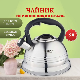 Чайник со свистком ZEIDAN Z-4157 3,0 л 